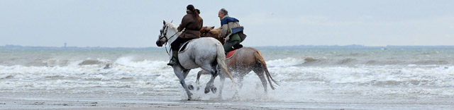 CHEVAL