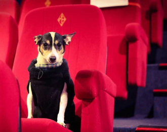 Cinéma : le Majestic Bastille propose de partager une séance avec son chien