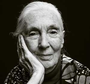 Jane Goodall