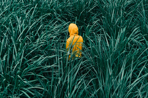 La biodiversité en 2019